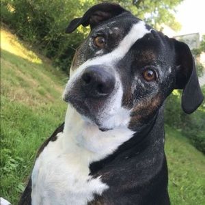 Meet your Posher, Reva